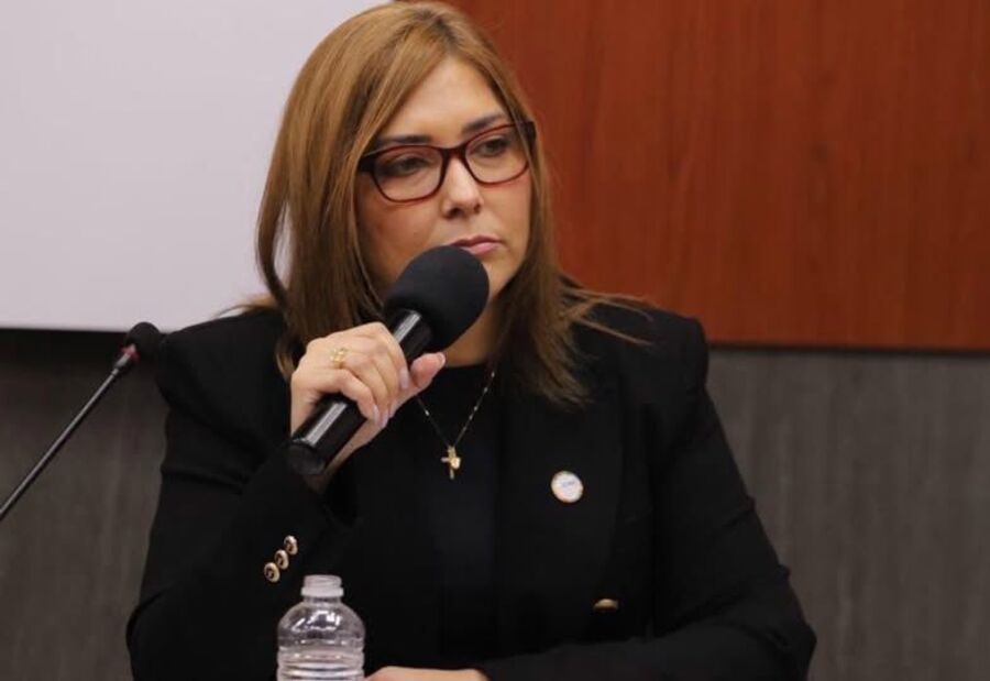 Ana Paola Hall reafirma exclusividad en escrutinio presidencial y limita participación militar