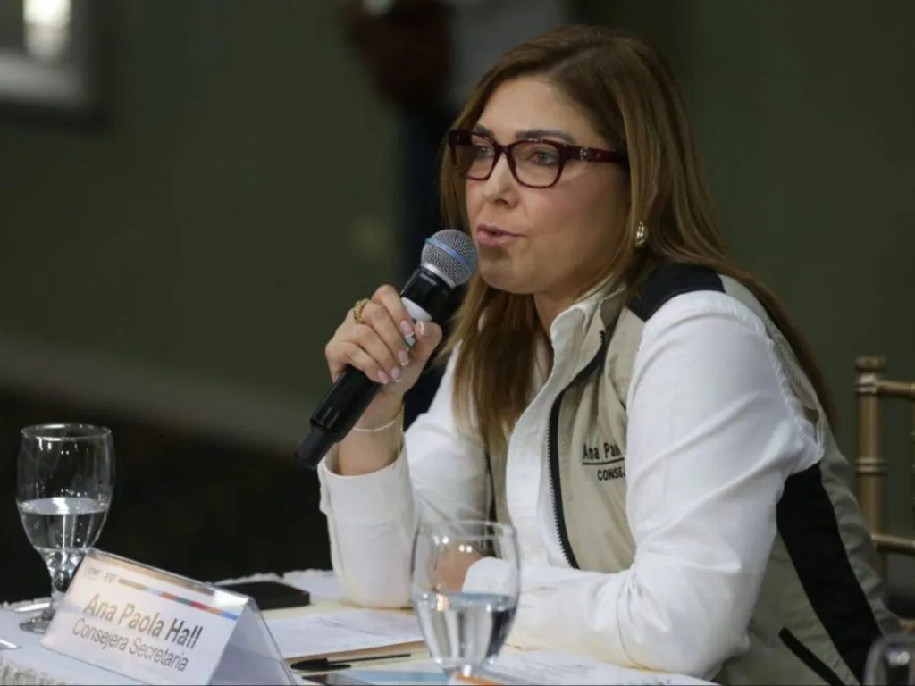 Hall convoca a las Fuerzas Armadas para coordinar elecciones
