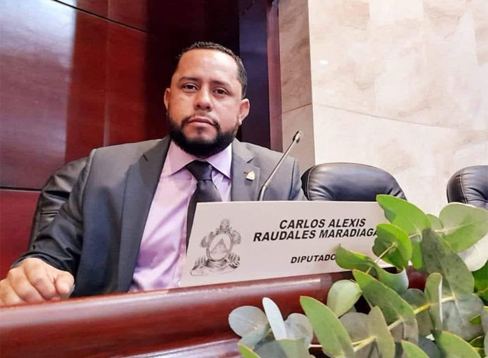 Diputado Carlos Raudales advierte que el Congreso puede declarar ganador si el CNE no lo hace